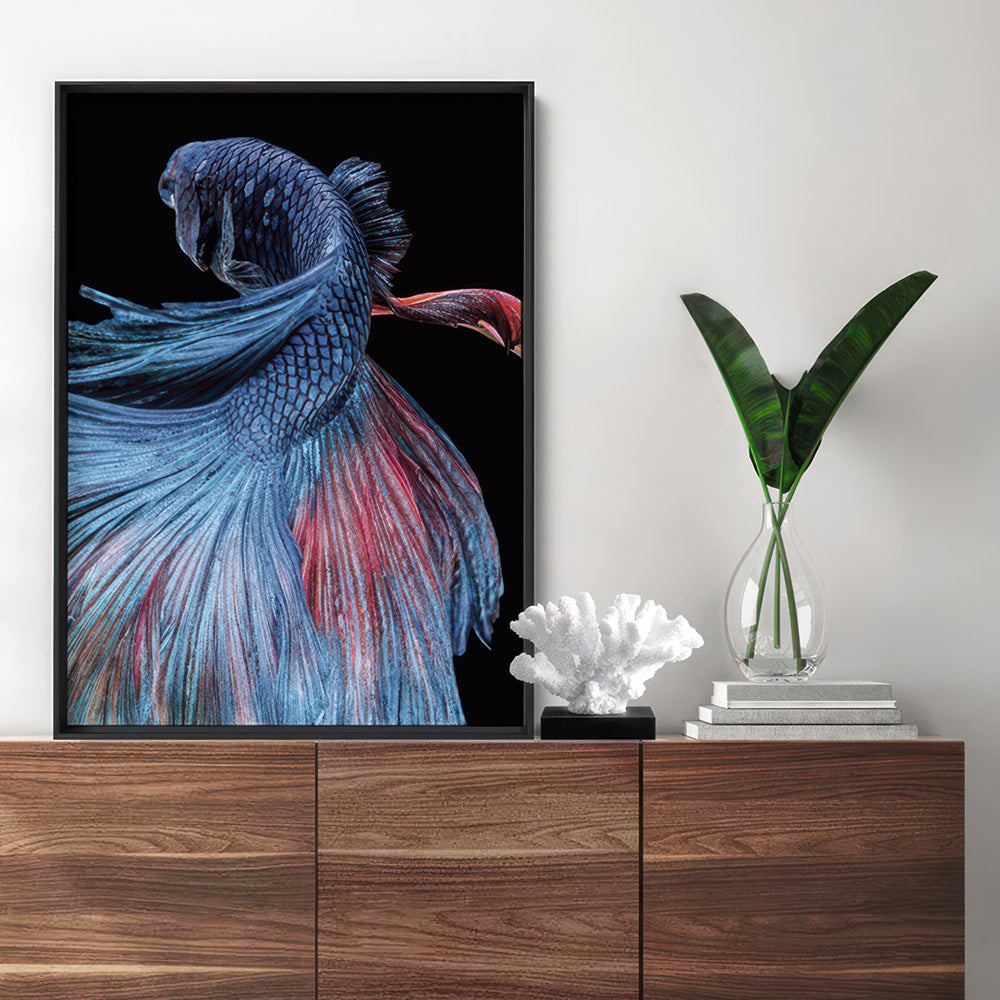 Japanese Red & Blue Betta Fighting Fish - Art Print, Poster, Stretched Canvas or Framed Wall Art Prints, shown framed in a room