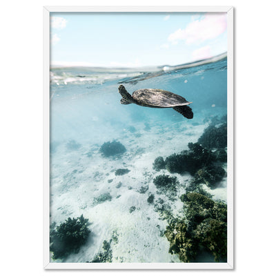 Turtle at Exmouth II - Art Print by Beau Micheli, Poster, Stretched Canvas, or Framed Wall Art Print, shown in a white frame