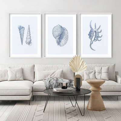 Sea Shells in Blue | Auger Shells - Art Print, Poster, Stretched Canvas or Framed Wall Art, shown framed in a home interior space