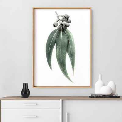 Eucalyptus Leaves & Gumnuts II - Art Print, Poster, Stretched Canvas or Framed Wall Art Prints, shown framed in a room