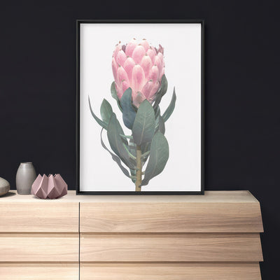 Queen Protea Vintage Portrait - Art Print, Poster, Stretched Canvas or Framed Wall Art Prints, shown framed in a room