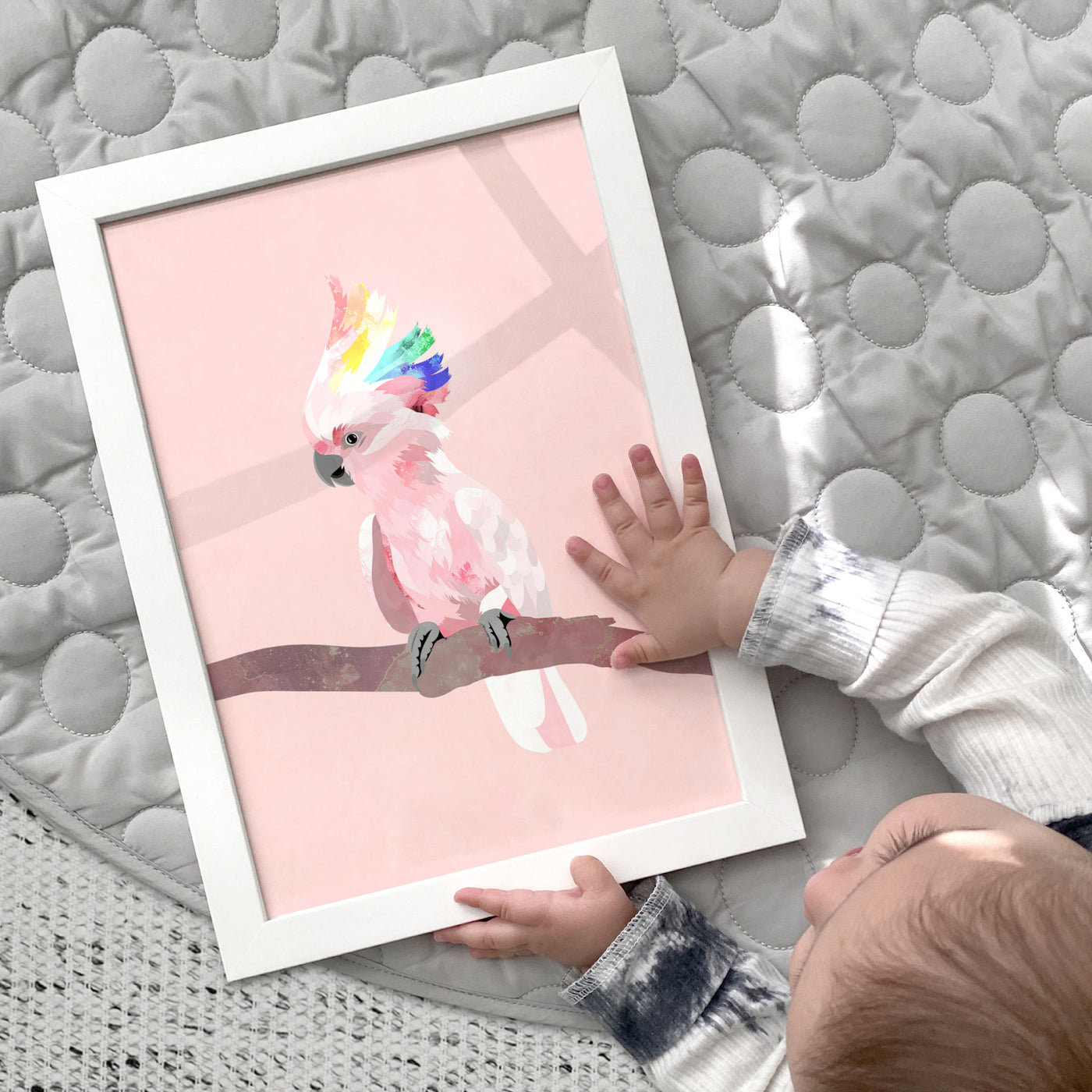 Galah Pop - Art Print, Poster, Stretched Canvas or Framed Wall Art Prints, shown framed in a room
