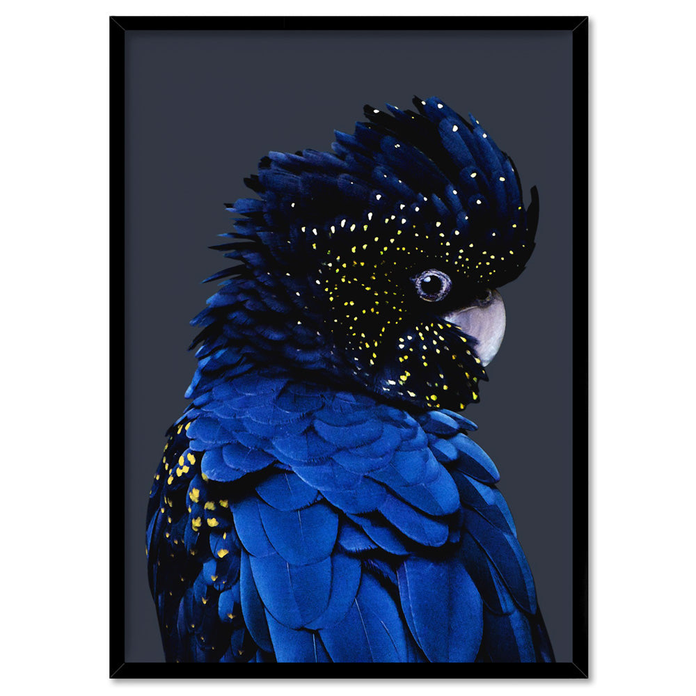 Black Cockatoo (indigo tones) - Art Print, Poster, Stretched Canvas, or Framed Wall Art Print, shown in a black frame