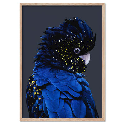 Black Cockatoo (indigo tones) - Art Print, Poster, Stretched Canvas, or Framed Wall Art Print, shown in a natural timber frame