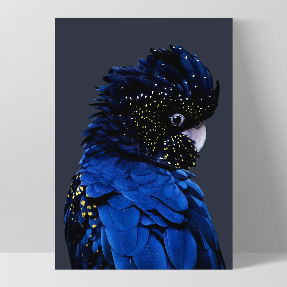 Black Cockatoo (indigo tones) - Art Print, Poster, Stretched Canvas, or Framed Wall Art Print, shown as a stretched canvas or poster without a frame
