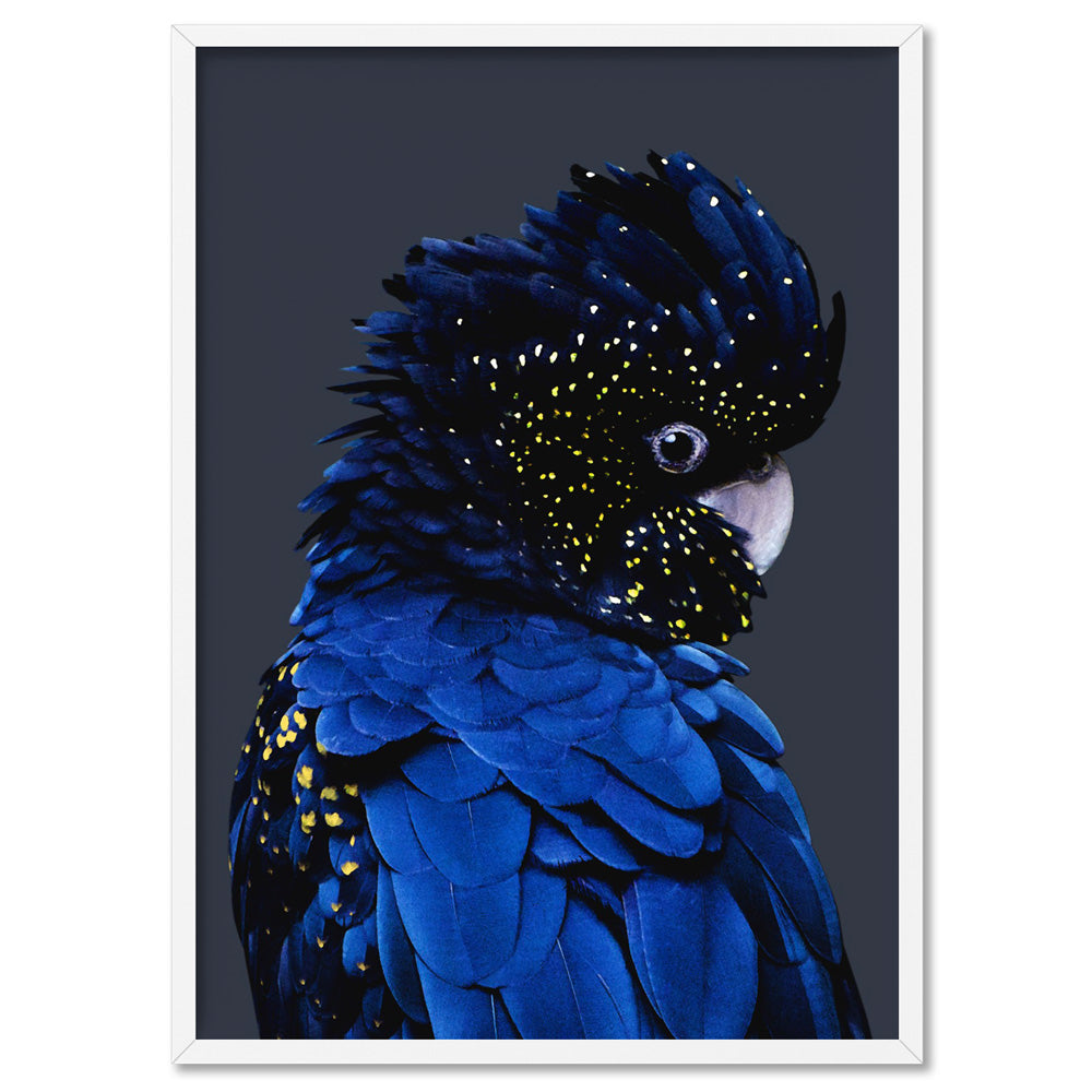 Black Cockatoo (indigo tones) - Art Print, Poster, Stretched Canvas, or Framed Wall Art Print, shown in a white frame