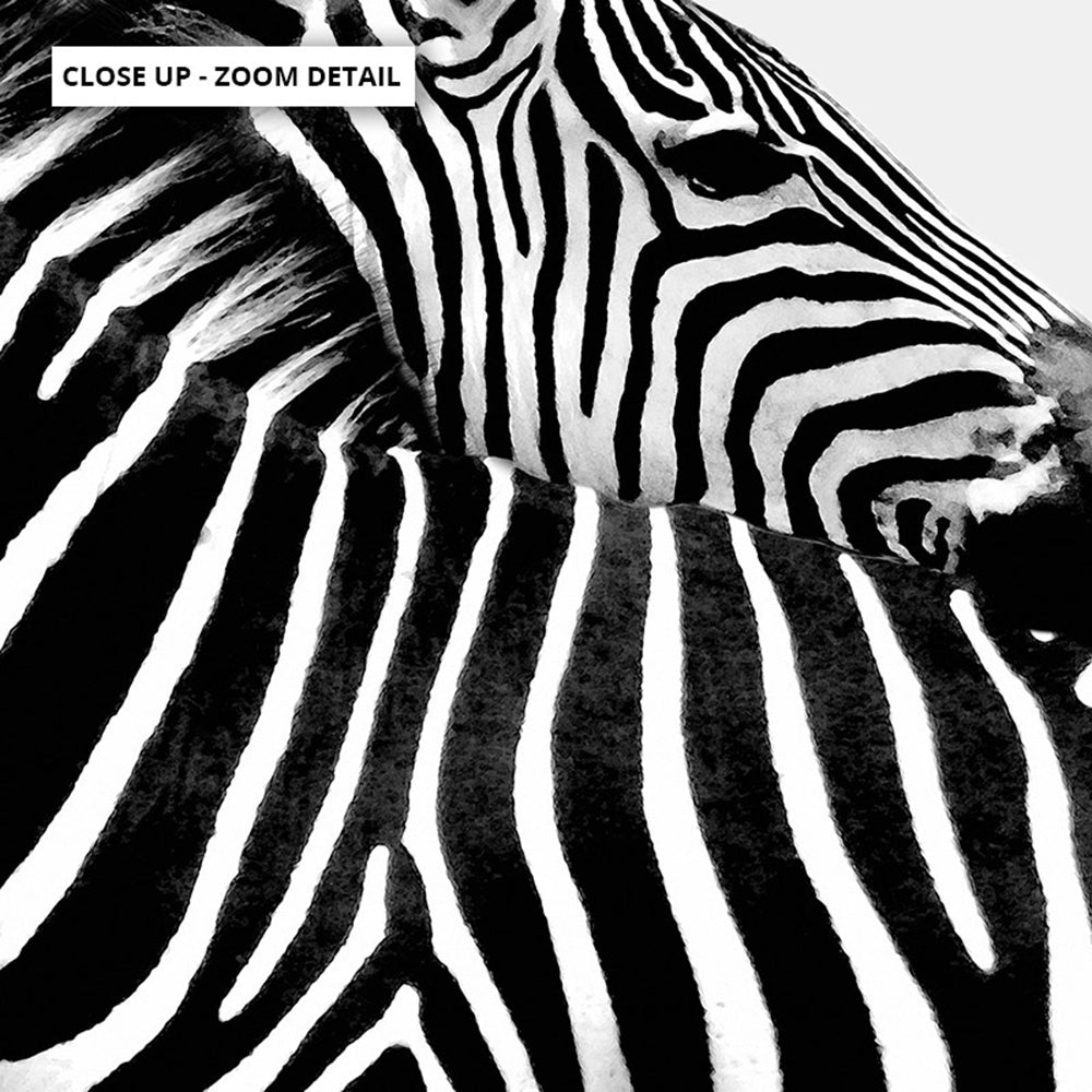 Zebra Embrace - Art Print, Poster, Stretched Canvas or Framed Wall Art, Close up View of Print Resolution