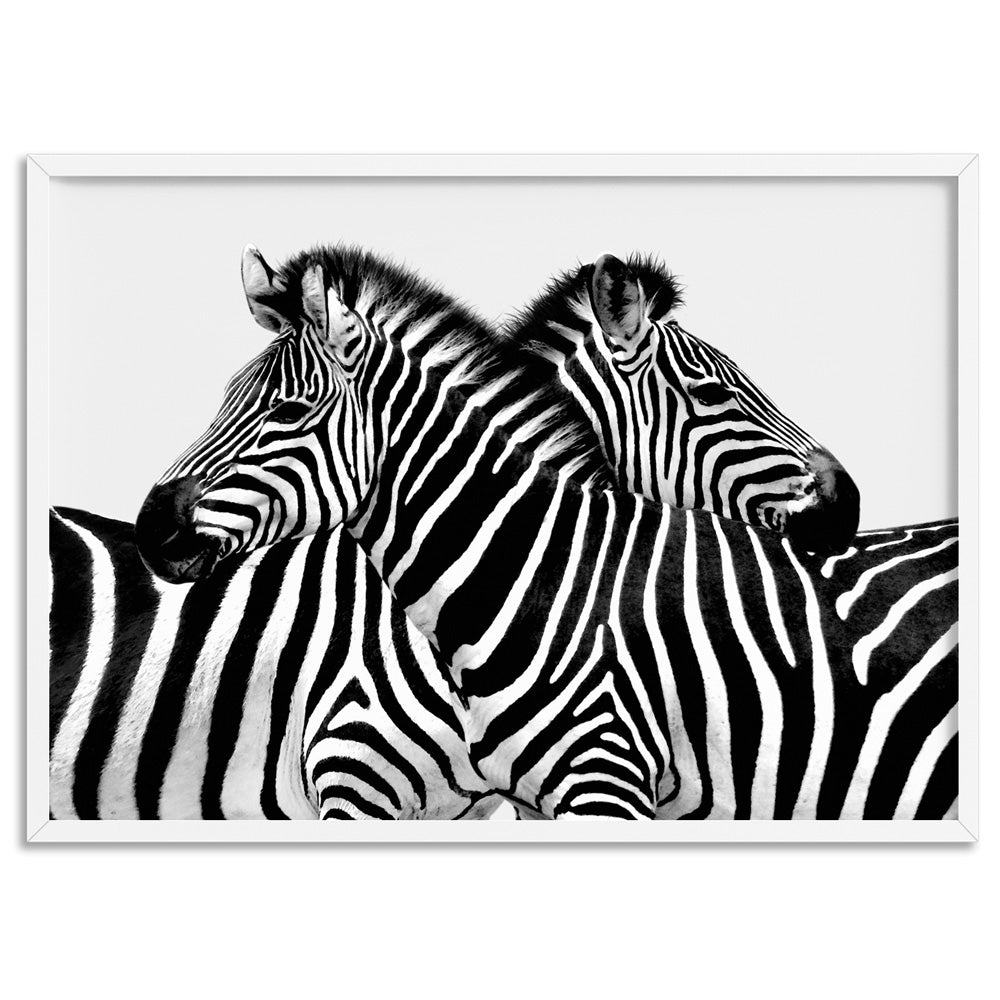Zebra Embrace - Art Print, Poster, Stretched Canvas, or Framed Wall Art Print, shown in a white frame