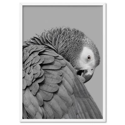 Grey Parrot - Art Print, Poster, Stretched Canvas, or Framed Wall Art Print, shown in a white frame