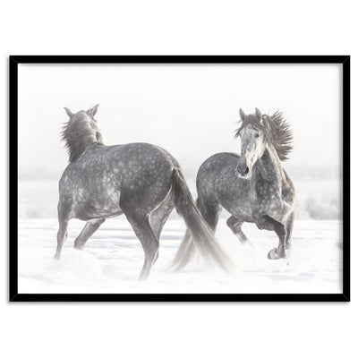 Grey Horses Dancing Duo B&W - Art Print, Poster, Stretched Canvas, or Framed Wall Art Print, shown in a black frame