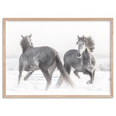 Grey Horses Dancing Duo B&W - Art Print, Poster, Stretched Canvas, or Framed Wall Art Print, shown in a natural timber frame