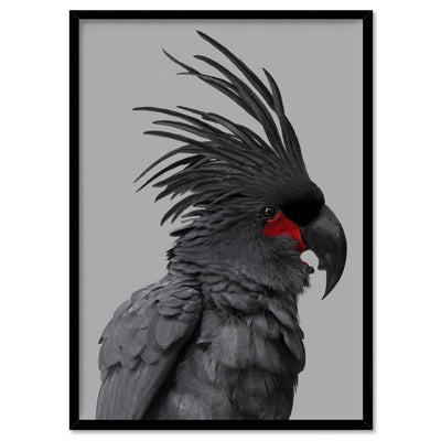 Black Palm Cockatoo - Art Print, Poster, Stretched Canvas, or Framed Wall Art Print, shown in a black frame