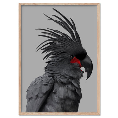 Black Palm Cockatoo - Art Print, Poster, Stretched Canvas, or Framed Wall Art Print, shown in a natural timber frame
