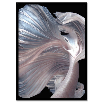 Japanese White I Betta Fighting Fish - Art Print, Poster, Stretched Canvas, or Framed Wall Art Print, shown in a black frame