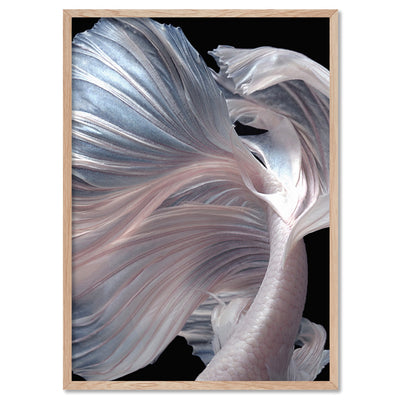 Japanese White I Betta Fighting Fish - Art Print, Poster, Stretched Canvas, or Framed Wall Art Print, shown in a natural timber frame