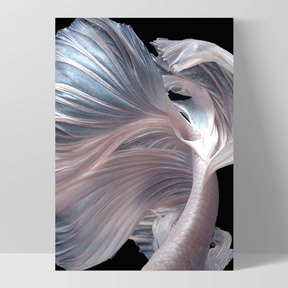 Japanese White I Betta Fighting Fish - Art Print, Poster, Stretched Canvas, or Framed Wall Art Print, shown as a stretched canvas or poster without a frame