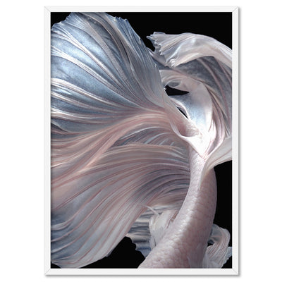 Japanese White I Betta Fighting Fish - Art Print, Poster, Stretched Canvas, or Framed Wall Art Print, shown in a white frame