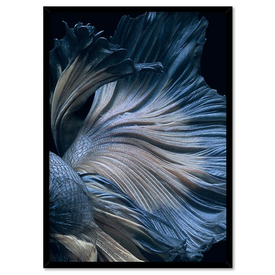 Japanese Blue Betta Fighting Fish - Art Print, Poster, Stretched Canvas, or Framed Wall Art Print, shown in a black frame