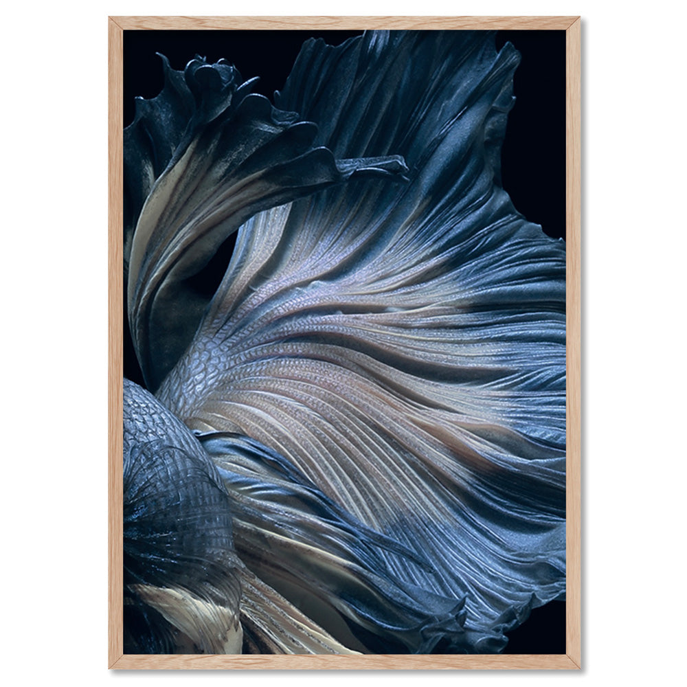 Japanese Blue Betta Fighting Fish - Art Print, Poster, Stretched Canvas, or Framed Wall Art Print, shown in a natural timber frame