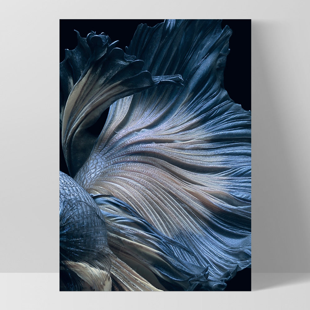 Japanese Blue Betta Fighting Fish - Art Print, Poster, Stretched Canvas, or Framed Wall Art Print, shown as a stretched canvas or poster without a frame