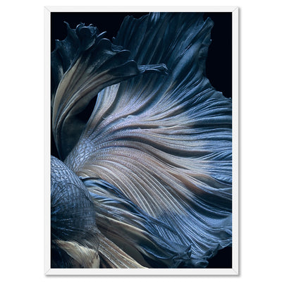 Japanese Blue Betta Fighting Fish - Art Print, Poster, Stretched Canvas, or Framed Wall Art Print, shown in a white frame