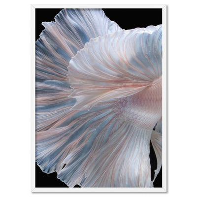 Japanese White II Betta Fighting Fish - Art Print, Poster, Stretched Canvas, or Framed Wall Art Print, shown in a white frame