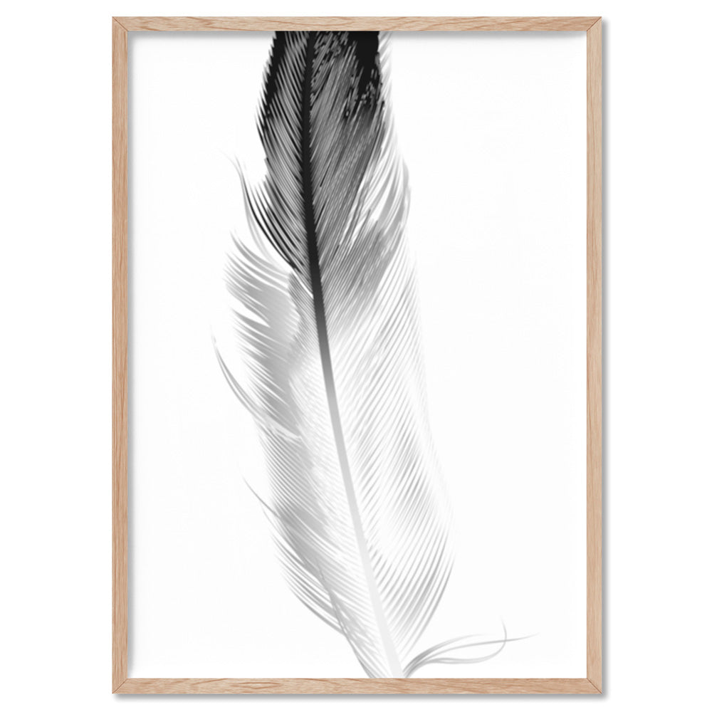 Feather Black & White I - Art Print, Poster, Stretched Canvas, or Framed Wall Art Print, shown in a natural timber frame