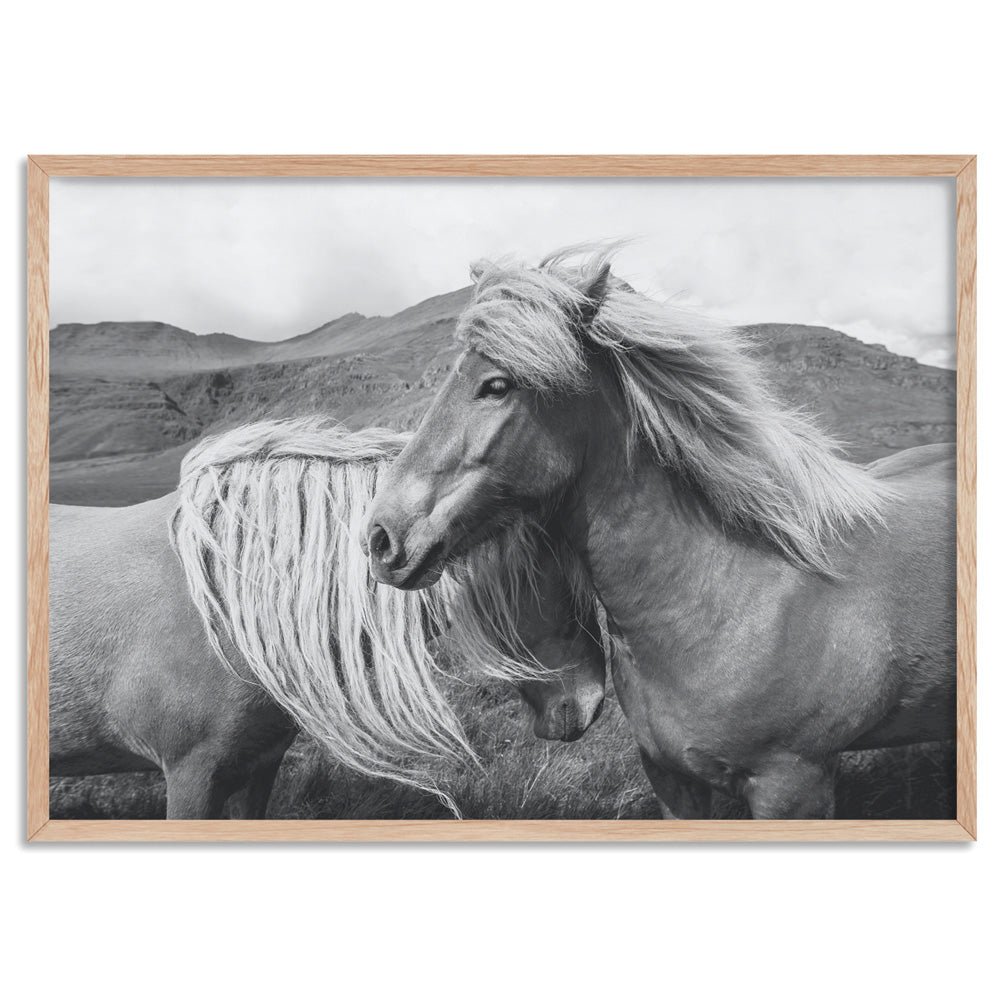 Horses Embrace in B&W - Art Print, Poster, Stretched Canvas, or Framed Wall Art Print, shown in a natural timber frame
