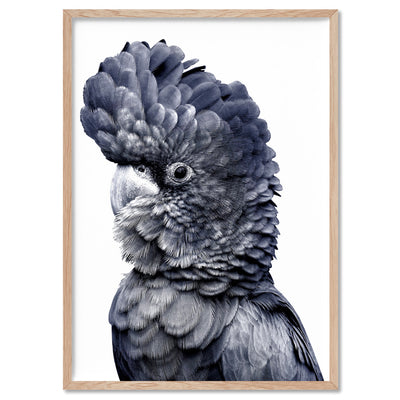 Black Cockatoo (Indigo & black) - Art Print, Poster, Stretched Canvas, or Framed Wall Art Print, shown in a natural timber frame