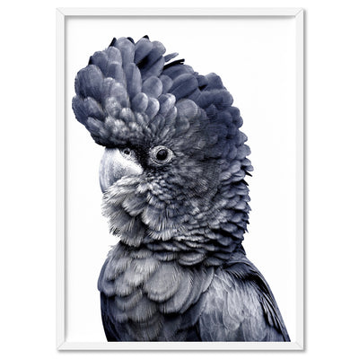 Black Cockatoo (Indigo & black) - Art Print, Poster, Stretched Canvas, or Framed Wall Art Print, shown in a white frame