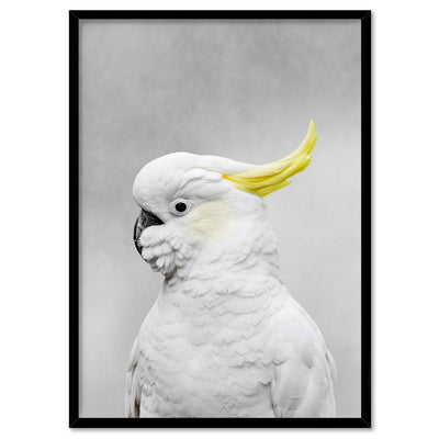 White Sulphur Crested Cockatoo I - Art Print, Poster, Stretched Canvas, or Framed Wall Art Print, shown in a black frame