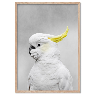 White Sulphur Crested Cockatoo I - Art Print, Poster, Stretched Canvas, or Framed Wall Art Print, shown in a natural timber frame