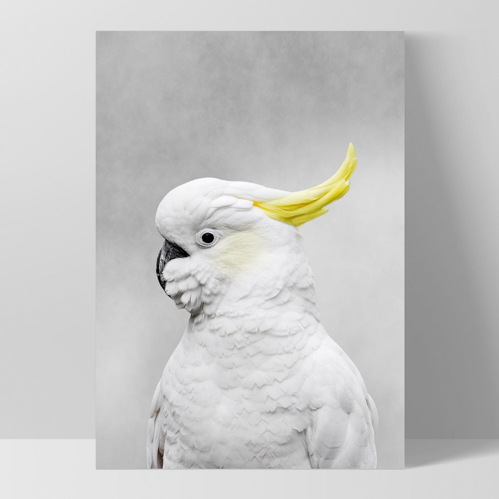 White Sulphur Crested Cockatoo I - Art Print, Poster, Stretched Canvas, or Framed Wall Art Print, shown as a stretched canvas or poster without a frame