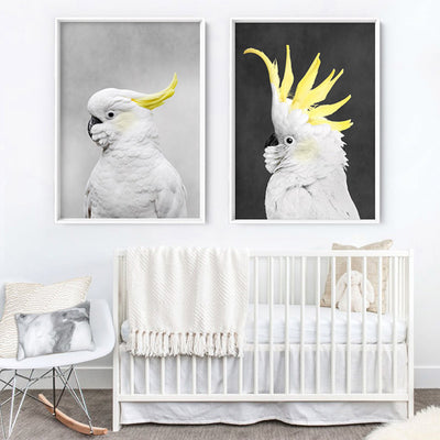 White Sulphur Crested Cockatoo I - Art Print, Poster, Stretched Canvas or Framed Wall Art, shown framed in a home interior space