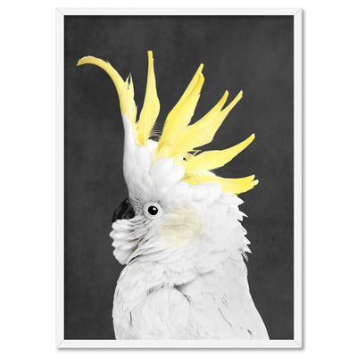 White Sulphur Crested Cockatoo II - Art Print, Poster, Stretched Canvas, or Framed Wall Art Print, shown in a white frame