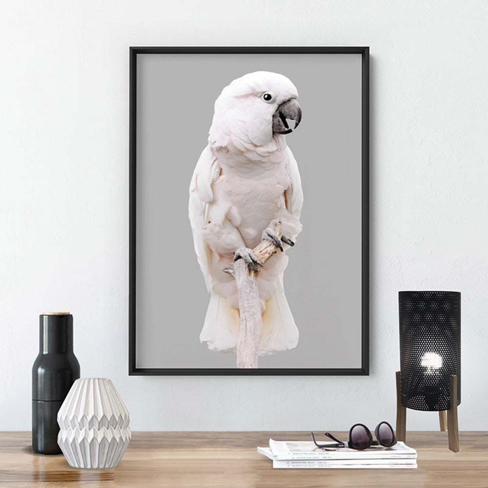 Salmon Crested Cockatoo - Art Print, Poster, Stretched Canvas or Framed Wall Art Prints, shown framed in a room