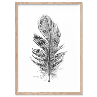 Feather Black & White IV- Art Print, Poster, Stretched Canvas, or Framed Wall Art Print, shown in a natural timber frame