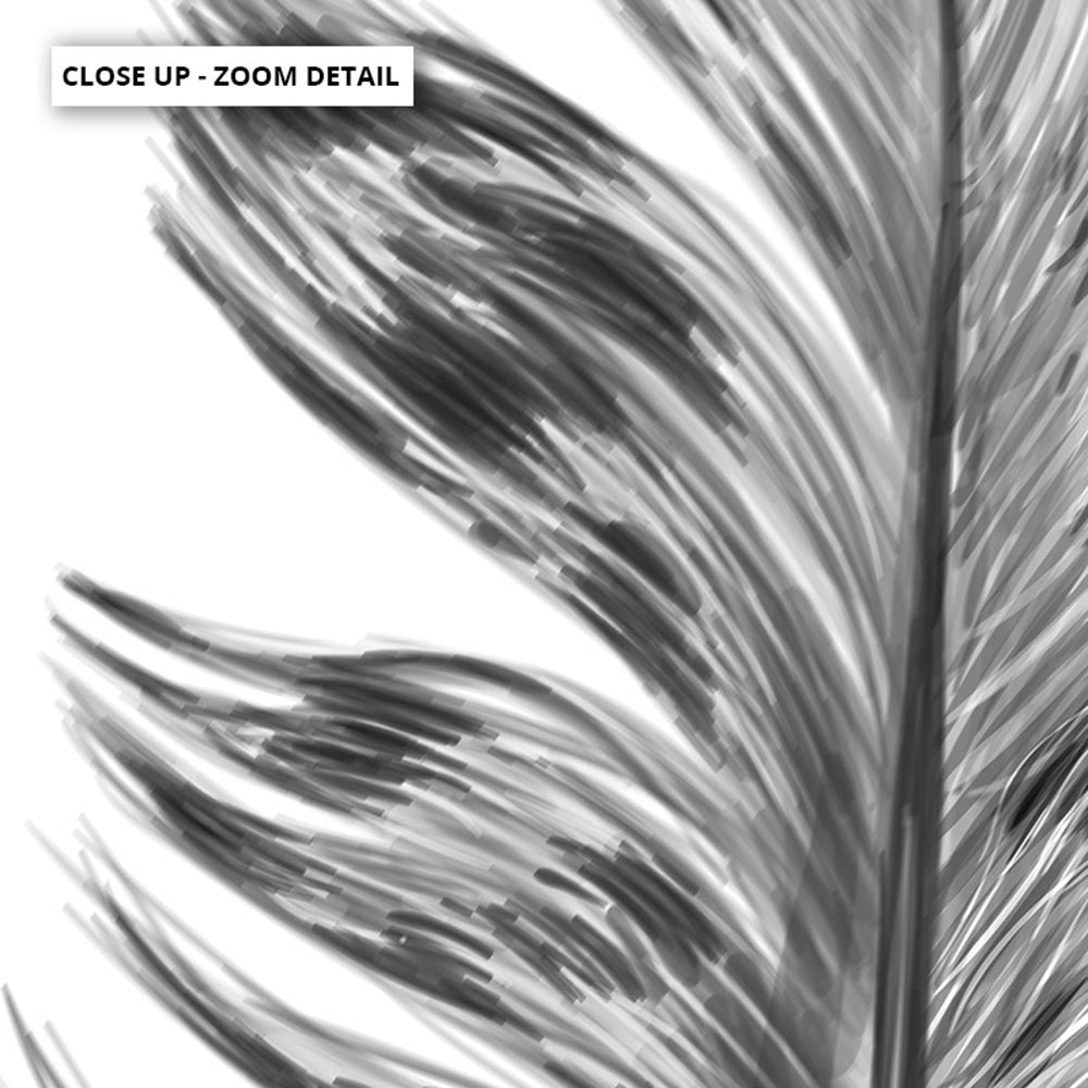 Feather Black & White IV- Art Print, Poster, Stretched Canvas or Framed Wall Art, Close up View of Print Resolution
