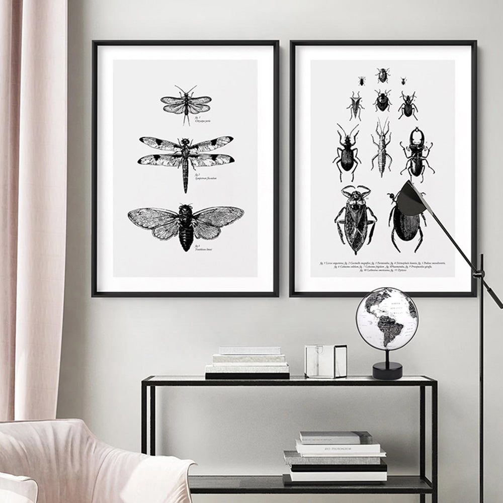 Winged Insects Entomology / Lacewing, Dragonfly & Cicada - Art Print, Poster, Stretched Canvas or Framed Wall Art, shown framed in a home interior space
