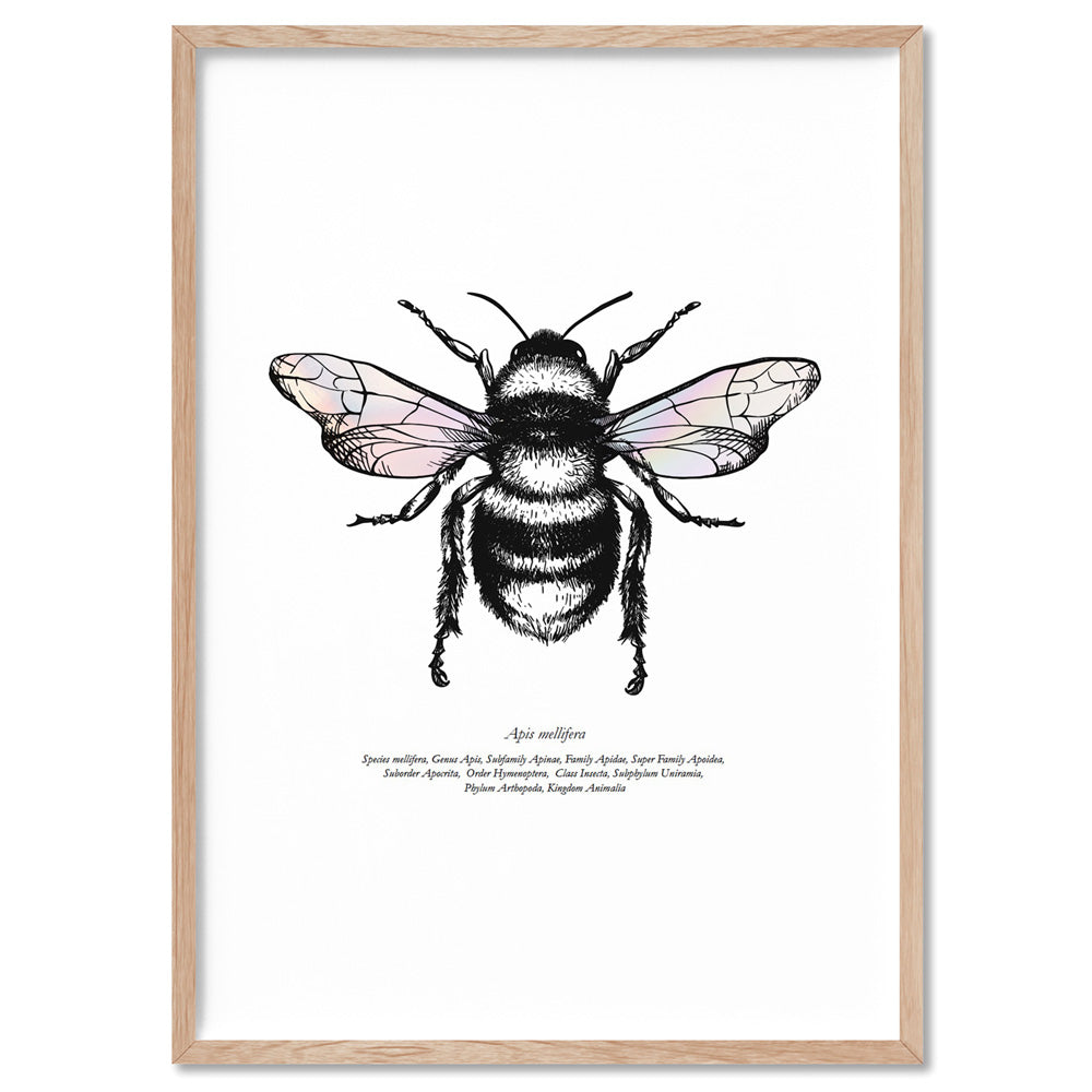Honey Bee with Holo Wings - Art Print, Poster, Stretched Canvas, or Framed Wall Art Print, shown in a natural timber frame