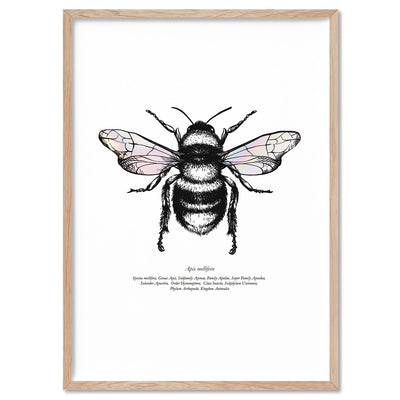 Honey Bee with Holo Wings - Art Print, Poster, Stretched Canvas, or Framed Wall Art Print, shown in a natural timber frame