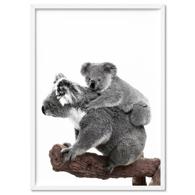 Koala Mother and Baby - Art Print, Poster, Stretched Canvas, or Framed Wall Art Print, shown in a white frame