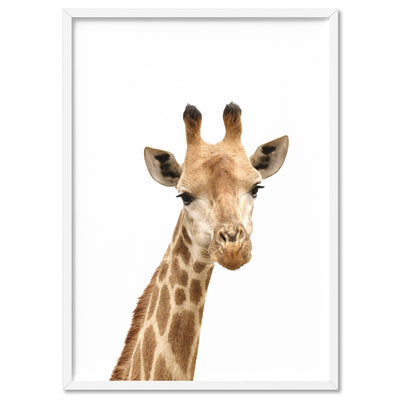 Cheeky Giraffe Stare - Art Print, Poster, Stretched Canvas, or Framed Wall Art Print, shown in a white frame
