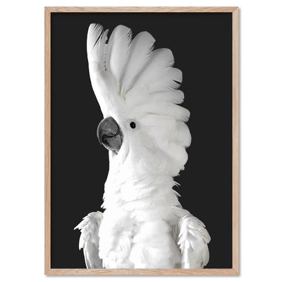 White Cockatoo on Charcoal Background - Art Print, Poster, Stretched Canvas, or Framed Wall Art Print, shown in a natural timber frame