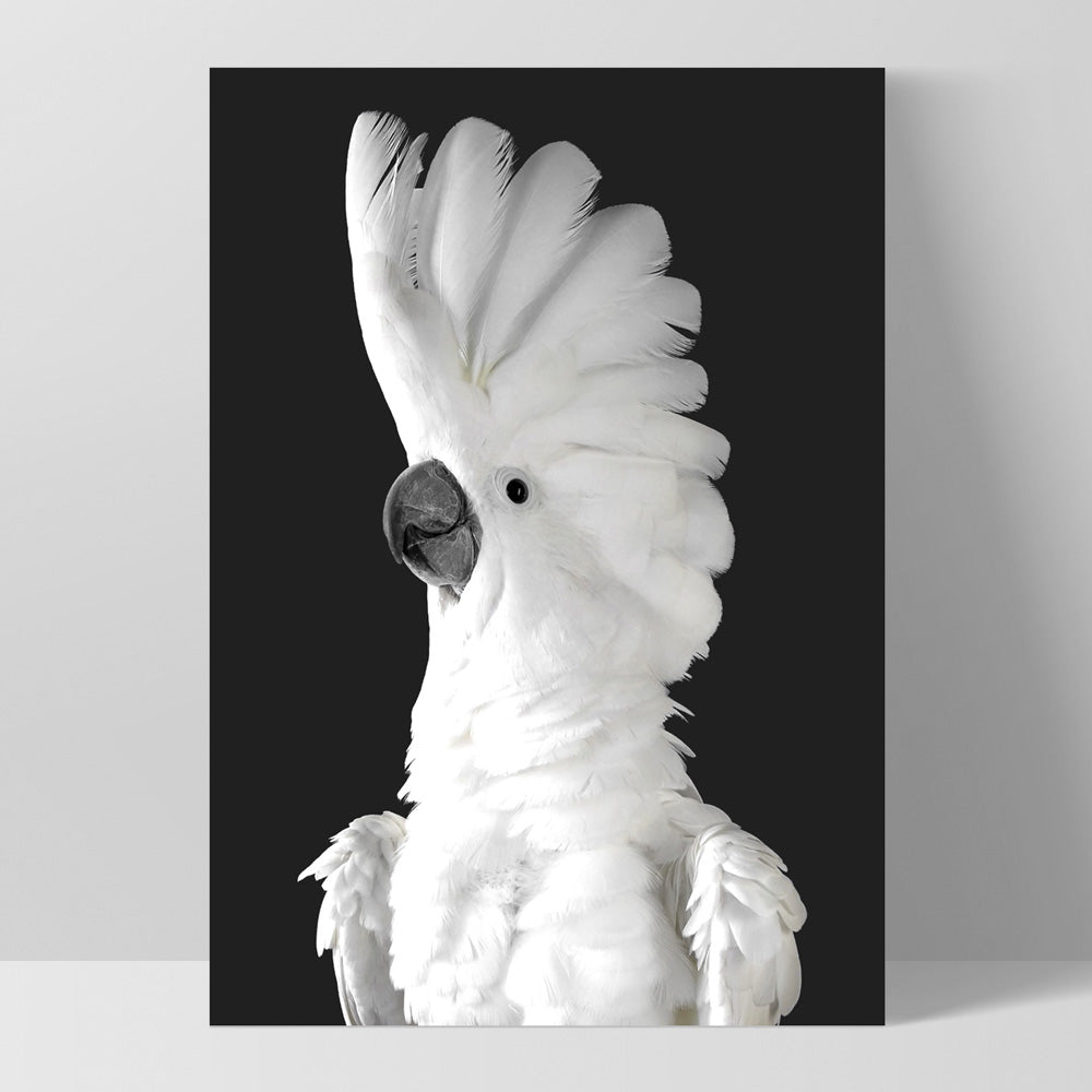 White Cockatoo on Charcoal Background - Art Print, Poster, Stretched Canvas, or Framed Wall Art Print, shown as a stretched canvas or poster without a frame