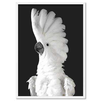 White Cockatoo on Charcoal Background - Art Print, Poster, Stretched Canvas, or Framed Wall Art Print, shown in a white frame