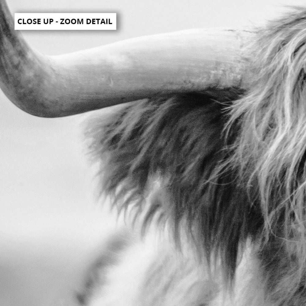 Highland Cow Portrait II B&W - Art Print, Poster, Stretched Canvas or Framed Wall Art, Close up View of Print Resolution