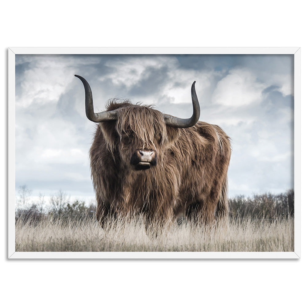 Highland Cow Landscape II - Art Print, Poster, Stretched Canvas, or Framed Wall Art Print, shown in a white frame