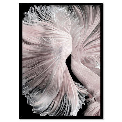 Betta Pair in Pale Pink & Black II - Art Print, Poster, Stretched Canvas, or Framed Wall Art Print, shown in a black frame