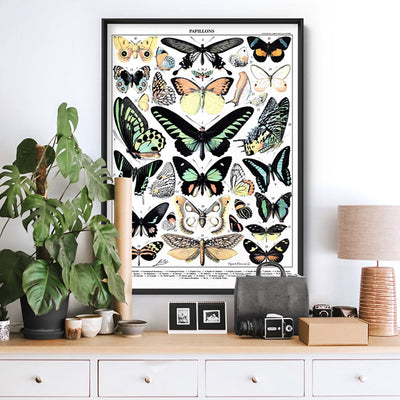 Papillons I Vintage Illustration by Adolphe Millot - Art Print, Poster, Stretched Canvas or Framed Wall Art, shown framed in a room